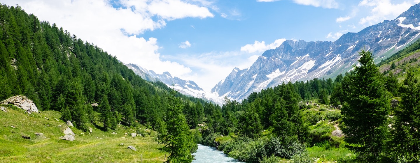 view of the river leading into the forest and mountains in the background during early summer